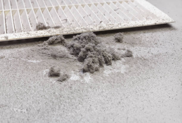 Best Local Air Duct Cleaning Services  in North Braddock, PA